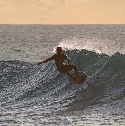 2024 North Sonar SF Front Wing Only