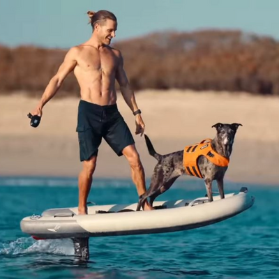 Used 4'9"Lift Blowfish